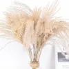 Decorative Flowers & Wreaths 50pcs Real Dried Small Pampas Grass Wedding Flower Bunch Natural Plants Decor Home Phragmites231j