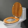 Other Bath Toilet Supplies Universal buffer toilet seat cover household thickened wooden solid wood quick release mute 230411