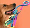 Traktionsseil in Regenbogenfarben für Hunde, Halsbänder, Leine, Heimtierbedarf, Geschirre, Hundehalskette, Traktionsnylonseile, Walk 2 5my D2
