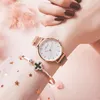 Wristwatches występuje France Watch Pani Star Magnetic z studentami z college'u Koreańska wersja The Simple INS Sen Xi Women's Luxury