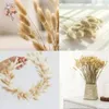 Rabbit Tail Grass Natural Lagurus Ovatus Pampas Dried Flower Bouquet Floral Wedding Decoration Home Photo Props Decor