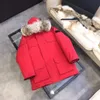 Płaszcze męskie kanadyjska zimowa kurtka na zewnątrz wiatrowoodporne wodoodporne wodoodporne dowód puffer grube colla prawdziwe wilk futrze górne kostki