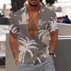 Mäns avslappnade skjortor 2023 Hawaiian tropiska män 3D tryckt strandsemester kort ärm blus harajuku 5xl överdimensionerade toppar tee skjorta man