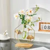 Vazen Noordse thuisdecor Ginkgo Hydroponische vaas Moderne Room Desktop Flower Arrangement Vaas Room Desktop Decoratie Bloempot P230411