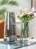 Vases bouteille en verre nordique pour fleurs plante d'intérieur décoration en verre bureau vase en verre transparent gris maison vase à fleurs pour décor P230411