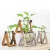 Vaser Creative Terrarium Decor Hydroponic Flower Vase Plant Pot Glass Bonsai Home Decorations Office Tabletop Study Desk Ornament P230411