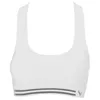 Racing Jackets Sports Bra Women Push Up Seamless Gym Jogging Yoga Fitness Shockproof Vest Underwear Crop Top Female Tops Sport Bras For