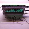 FreeShipping 1 VFD Indicatore dello spettro audio musicale/VU Meter audio/Livello scheda amplificatore/Orologio di precisione/Modalità AGC regolabile Fdtgu