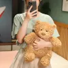 20-30cm adorável urso de pelúcia travesseiro de pelúcia brinquedos kawaii gordo animal ursos reconfortantes bonecas para crianças presentes dos namorados