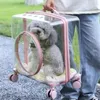 Kattendragers Waterdichte drager Opvouwbare handgreep Lichtgewicht veiligheidsgordel Ventilatie Rugzak Schouder Transparante Mochila Gato kinderwagen voor huisdieren