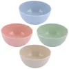 Set di stoviglie 4 pezzi Ciotola grande Insalata Mixing Plastica Grande contenitore da portata Piccoli piatti in porcellana