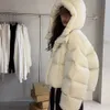 Manteau en duvet de canard blanc pour femme, nouvelle norme nationale 90, haut de gamme, épais, à capuche, court, à la mode, hiver 2023