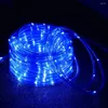 Saiten Batteriebetriebene Girlande Jahr 2024 Dekor Girlande Led Licht Weihnachtsbeleuchtung Outdoor Wasserdicht 5/10/15M Hochzeit