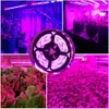 Grow Işıkları DC 5V USB LED Grow Light Full Spectrum Su Geçirmez UV Fitolamp Kapalı Fide Büyümesi Sera Hidroponik Bitkiler Lambalar Grow P230413