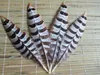 Other Event Party Supplies wholesale 50pcs high quality natural Wild pheasant feathers 1015cm inch variety of decorative and collect 231113