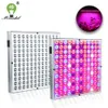 Grow Lights Full Spectrum LED Grow Light 70W Phyto Lamp avec 144 * 2835 Led Chips AC85-265V pour Plantes Fleurs Semis Culture P230413