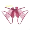 Plus Size Sexy Underwear Lace Underwear Transparent Female Sexy Panties Silk for Women Adults Crocheted YARN DYED High CUT 1pcs