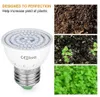 Grow Lights 2/PCS高品質LED Grogh Light E27 E14 MR16 GU10フルスペクトル温室水力鉛Grog