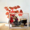 Frames Dried Flower Display Holder Shadow Case Insect Po Three-dimensional Stand