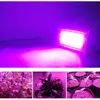 Grow Işıkları Bitki Büyüme Çiçeği LED Taşkın Işığı 50W AC 220V LED Bitki Led Lambalı Fıskiye Spot Sera Bitki Hidroponik Büyüme Işığı P230413