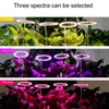 Grow Lights Angel Ring LED élèvent des lumières LED à spectre complet élèvent des lampes de croissance Phytolamp pour plantes USB lampe à LED pour semis de plantes d'intérieur P230413