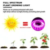 Grow Lights DC 5V USB LED Grow Light Full Spectrum 1-5m Plante Lumière Grow LED Strip Phyto Lampe pour Légumes Fleur Semis Grow Tente P230413