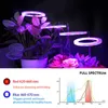 Cultivez des lumières Led Angel Ring élèvent la lumière de plante DC5V USB Phytolamp pour les plantes Led lampe à spectre complet pour les semis d'intérieur maison fleur Succulet P230413
