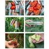 Planters 2PCS Greenhouse Magic Pentagram Heart-shaped Cucumber Fruit Shaping Growth Molds Garden Supplier Invernadero Tool