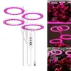 Grow Lights LED Angel Ring Grow Light DC 5V USB Phytolamp för växter LED Full Spectrum Lamp för inomhusväxtplantor Hemblommor Succulet P230413