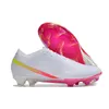 Chaussures de football pour hommes Mercurial 15 Elite XXV FG Crampons Bottes de football scarpe da calcio Créativité Édition Limitée