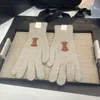 Kerstcadeau Designer Gebreide Handschoenen Voor Vrouwen Chique Winter Zachte Warme Handschoenen Vijf Vingers Handschoenen