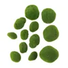 gröna glasterrarier