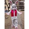 Pâques lapin mascotte Costumes Halloween fantaisie robe de soirée personnage de dessin animé carnaval noël publicité de Pâques fête d'anniversaire Costume tenue