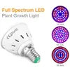 Grow Lights 3pcs светодиодные светодиоды E27 E14 MR16 GU10 Полный спектр тепличных гидропонных светодиодных светодиодов