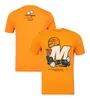 Camiseta edição especial da equipe F1 2023 Fórmula 1 Driver Camiseta amarela Fãs de corrida Camiseta casual de verão Camiseta masculina com logotipo do carro