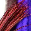 Inne imprezy imprezowe zapasy 50pcllot w kolorze Lady Amherst Pażące Pażące do rzemiosła Długie duże dekoracje z piór z karnawałową dekoracją ślubną 231113