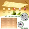 Grow Lights 1200W LED Grow Light Samsung LM281B Quantum Plant Light Full Spectrum Phyto Lamp for Indoor Flower Greenhouse Seedling Grogn Tent P230413