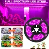 Grow Lights Phytolamp för växt 5V Full Spectrum USB LED -remsa för hemplantor 1m 2m 3m 4m 5m Phytotape Grow Light for Flower Greenhouse P230413