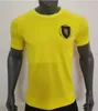 2023 2024 Schotland Volwassen kinderen voetbalshirts TIERNEY 150th ROBERTSON McTOMINAY McGREGOR DYKES ADAMS Shirt CHRISTIE ARMSTRONG voetbal S-4XL