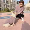 犬のアパレルペット犬の飼い主小さな中犬のための服をマッチするデザインファッション親子犬パーカーフレンチブルドッグコートペット衣類231110