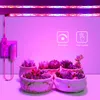 Grow Lights Full Spectrum Tuya Smart WiFi LED Grow Lamp 5m LED Strip Phyto Light Tape för växthushydroponisk växt Använd Alexa Google Home P230413