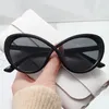 Lunettes de soleil œil de chat pour hommes et femmes, marque de mode, rétro, luxe dégradé, Double couleur, grand cadre, nuances UV400