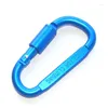 Keychains D-Shape Climbing Carabiner Keychain Randonnée extérieure Équipement de camping Clip Clif de crochet Alloy Mini Key Chain