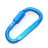 Keychains D-form Klättrande karabiner Keychain utomhus vandring camping utrustning Keyring Hook Clip Alluminum Alloy Mini Nyckelkedja