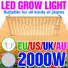 Rosną światła LED LID LED Phytolamp Full Spectrum Lampa Wzrost rośliny Hydroponika Hydroponika Sieci Flower Box 1000W 2000 W Board Quantum P230413