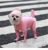 Dog Apparel Pet Cat And Four Feet Full Package One-piece Waterproof Mackintosh With Its Own Rain Shoes Teddy Bichon Supplies