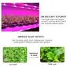 Grow Lights DC 5V USB LED Grow Light 0,5-5m SMD 2835 Fita de fita LED Planta de phyto rosa clara Lâmpada para vegeta