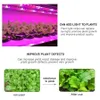 Grow Lights DC 5V USB LED Grow Light 0.5-5m SMD 2835 LED 테이프 플랜트 라이트 핑크 스트립 야채 꽃 묘목을위한 Phyto 램프 성장 텐트 상자 P230413