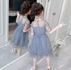 女の子のドレス春秋の子供の女の子の女の子のお姫様服の子供用長袖ドレス子供サマークラシックスカートガールa06