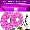 Grow Lights 5V USB LED plante poussent la lumière spectre complet 1-5m plante bande lumineuse Phyto lampe pour serre fleur semis cultiver tente hydroponique P230413